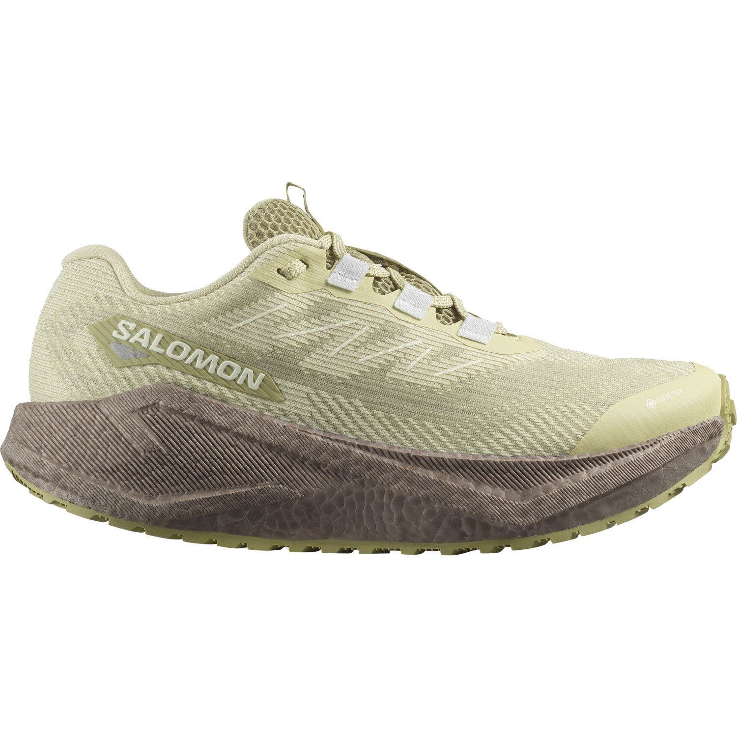 Salomon AERO BLAZE 3 GRVL GORE-TEX Trailrunning Schuhe Damen