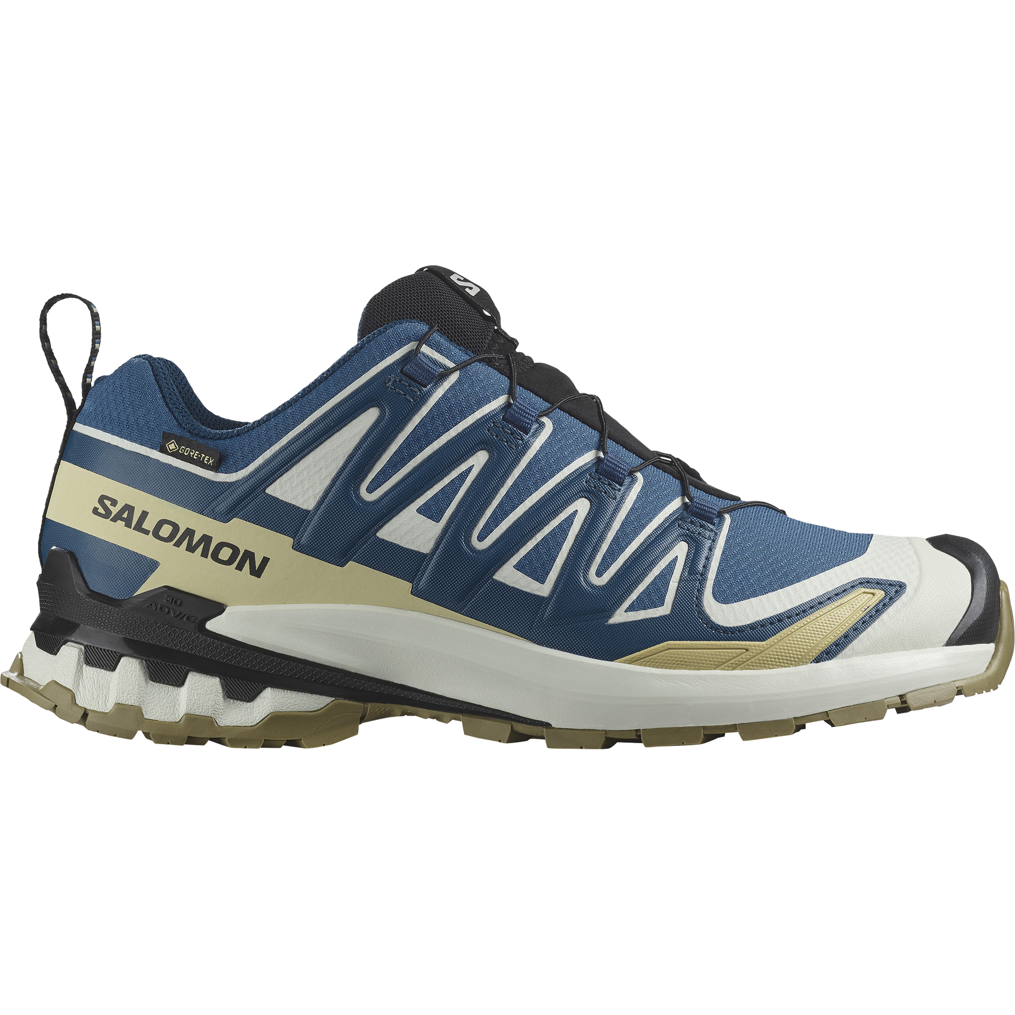Salomon XA PRO 3D V9 GORE-TEX Trailrunning Schuh Herren