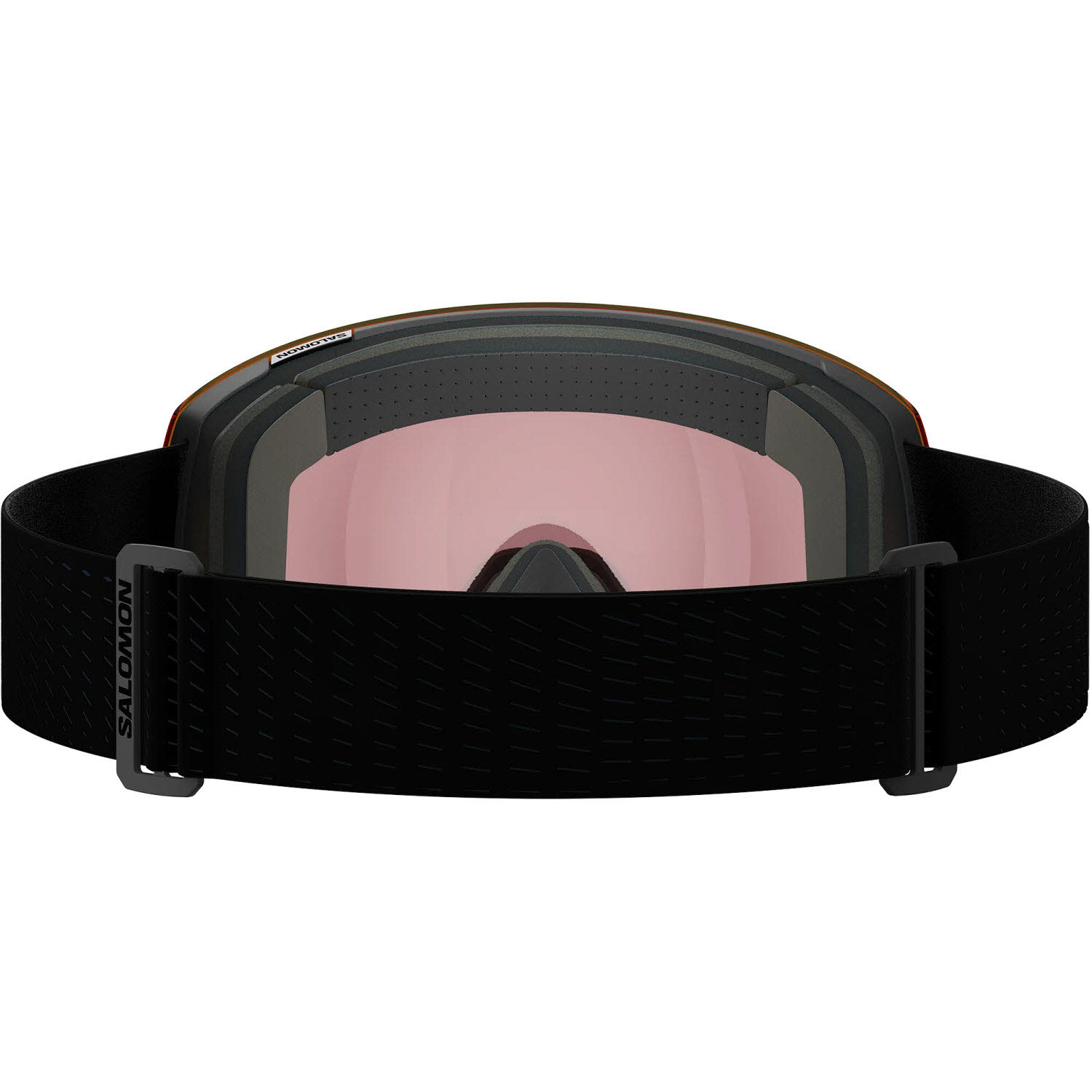 Salomon RADIUM PRO SIGMA PHOTOCHROMIC Skibrille Unisex