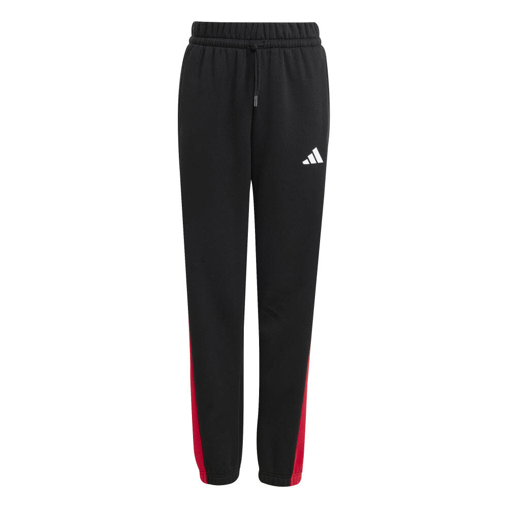 Adidas Seasonal Essentials Colorblock Kids Hose