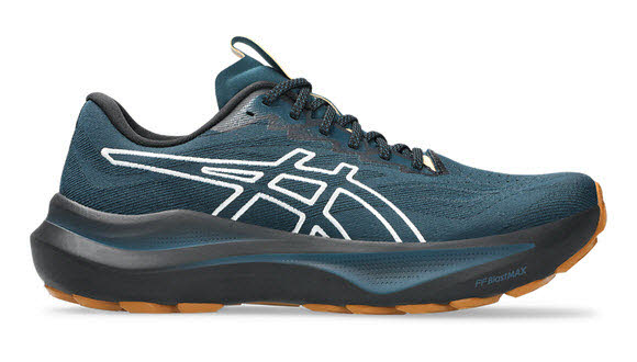 Asics GT-2000 14 Herren Laufschuh