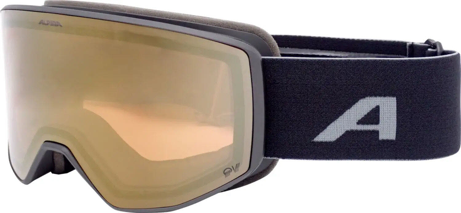 Alpina VENET QV Skibrille