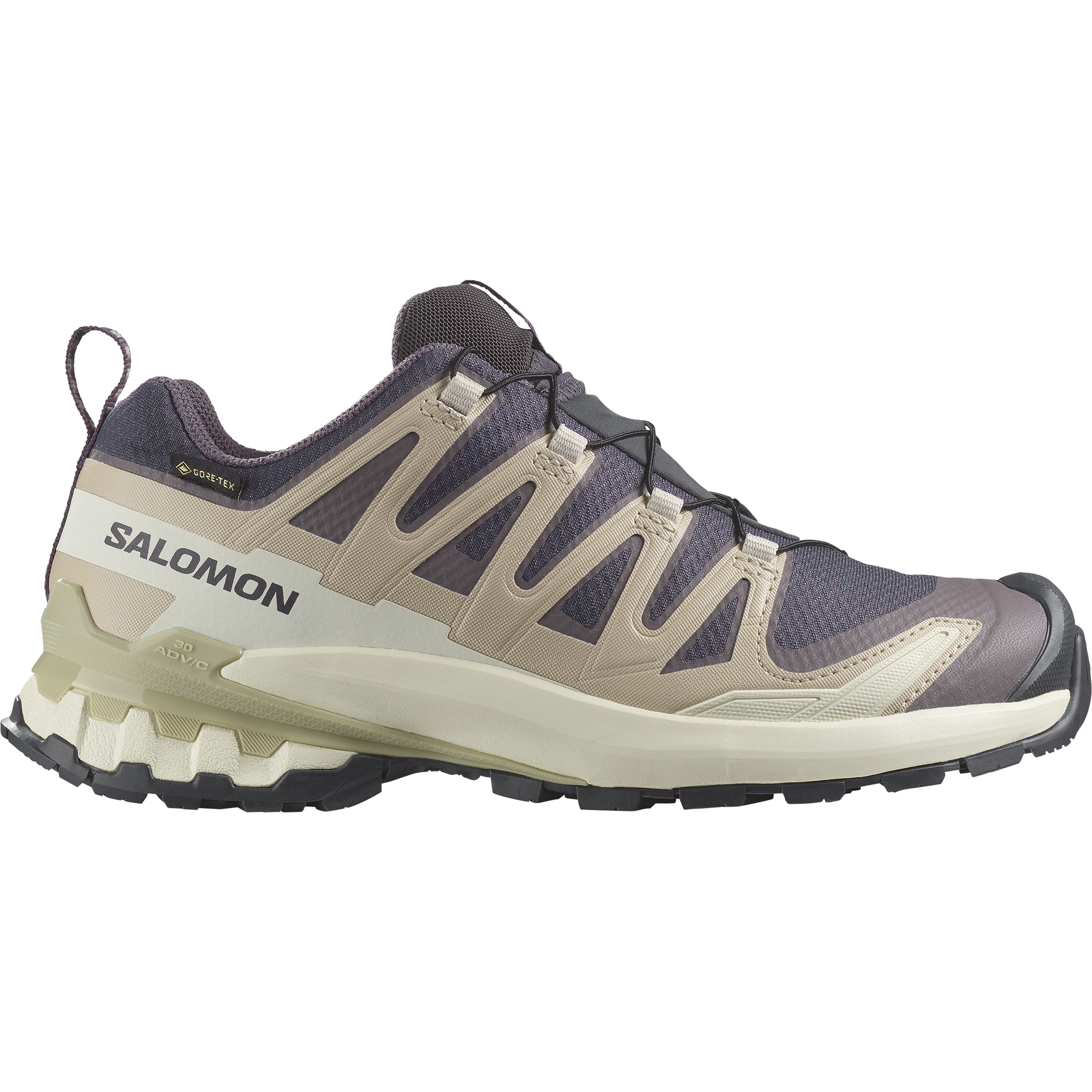 Salomon XA PRO 3D V9 GORE-TEX Trailrunning Schuh Damen